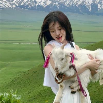 爆上战队奔奔者